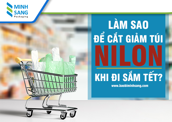 Làm sao để cắt giảm túi Nillon khi đi sắm tết