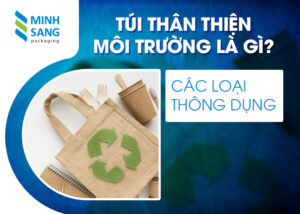 Túi thân thiện môi trường là gì? Các loại thông dụng