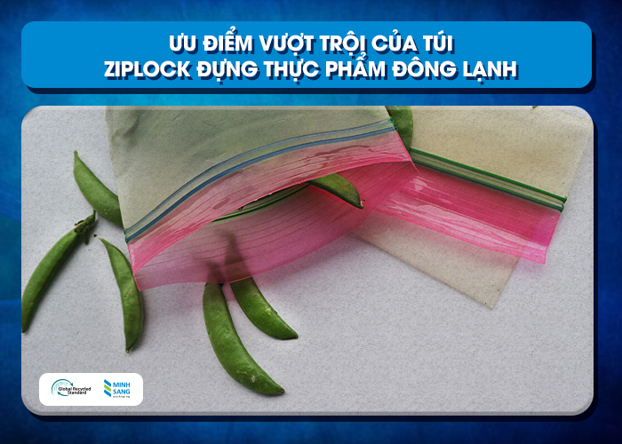 Ưu điểm vượt trội của túi ziplock đựng thực phẩm đông lạnh