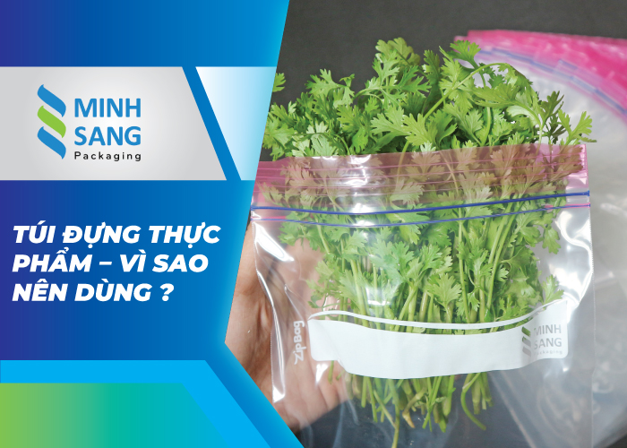 Túi đựng thực phẩm – vì sao nên dùng ?