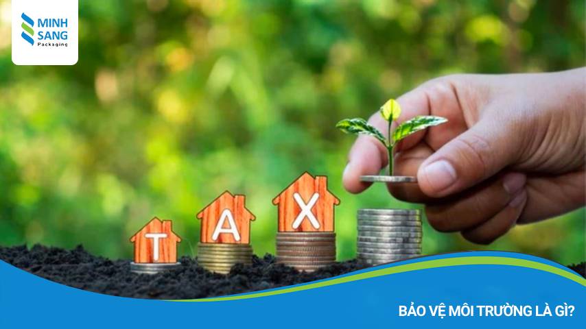 Bảo vệ môi trường là gì?