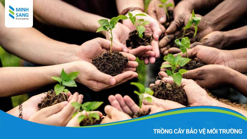 Trồng cây xanh bảo vệ môi trường