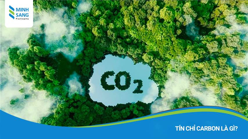 Tín chỉ carbon là gì?