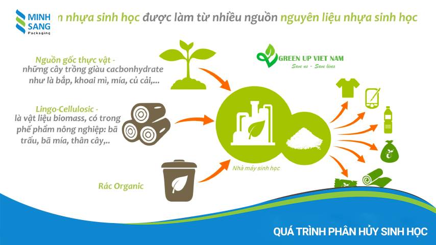 Các giai đoạn chính trong quá trình phân hủy sinh học