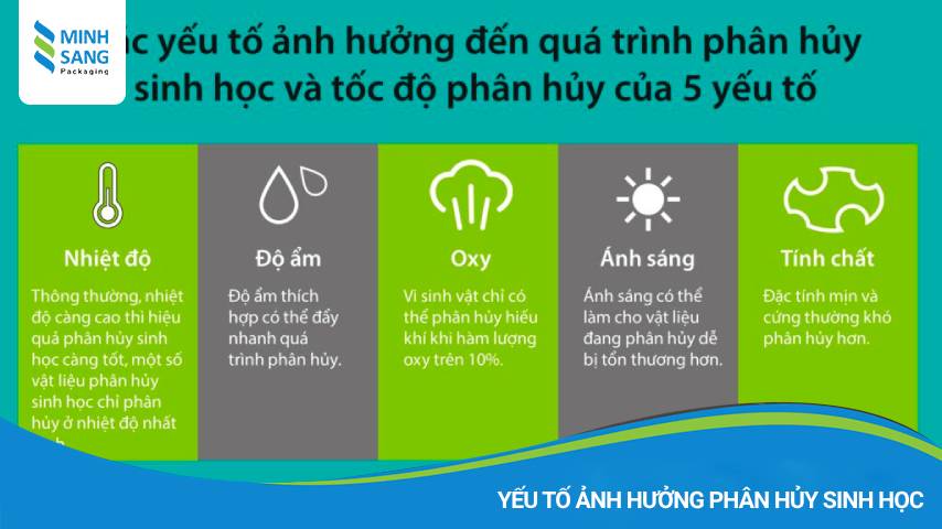 Những yếu tố ảnh hưởng tới quá trình phân hủy