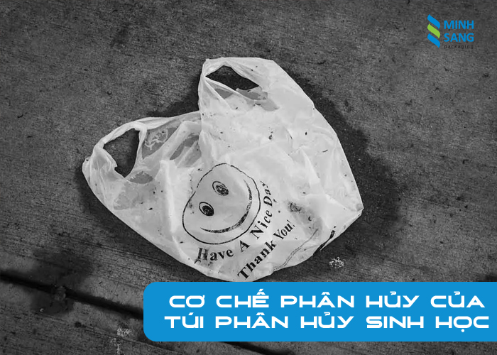 1-3 Cơ chế phân hủy của túi phân hủy sinh học