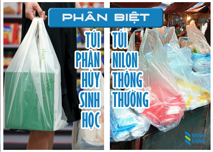 1 Phân biệt túi phân hủy sinh học và túi nilon thông thường