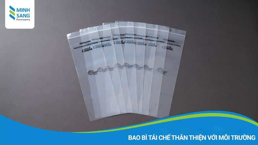 bao-bi-tai-che-than-thien-moi-truong Các bao bì thân thiện với môi trường
