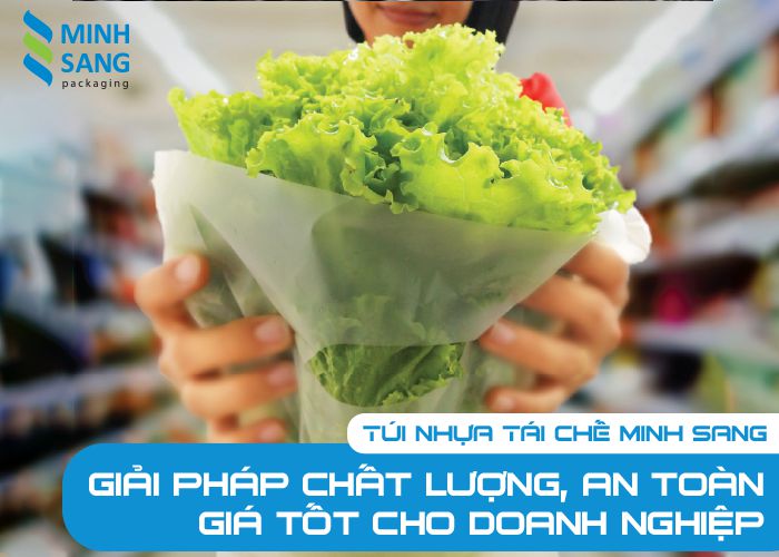 giai-phap-chat-luong-an-toan túi tái chế minh sang- giải pháp chất lượng an toàn