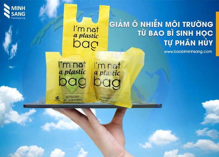 giam-thieu-o-nhiem-moi-truong-bang-tui-tu-phan-huy-sinh-hoc Nỗ lực giảm thiểu chất thải nhựa bằng túi phân hủy sinh học