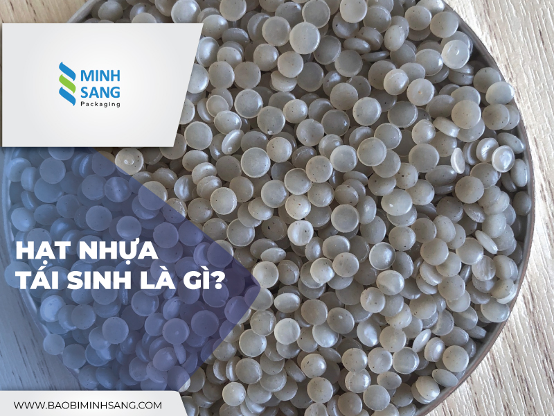 hat-nhua-tai-sinh-1 Nhựa tái sinh có thể được tái sinh thêm nhiều lần nữa, chất lượng của chúng sẽ giảm dần sau mỗi lần tái sinh