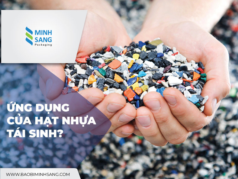 hat-nhua-tai-sinh-2 Ứng dụng của nhựa tái sinh trong sản xuất bao bì, đồ gia dụng, linh kiện,...