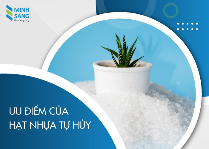 hat-nhua-tu-huy-3 Hạt nhựa tự hủy có khả năng tự phân huỷ, bảo vệ không khí không bị ô nhiễm