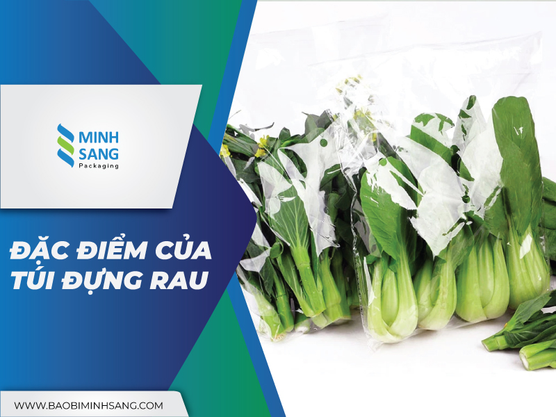 huong-dan-su-dung-tui-dung-rau-dung-cach-2 Đặc điểm của túi đựng rau