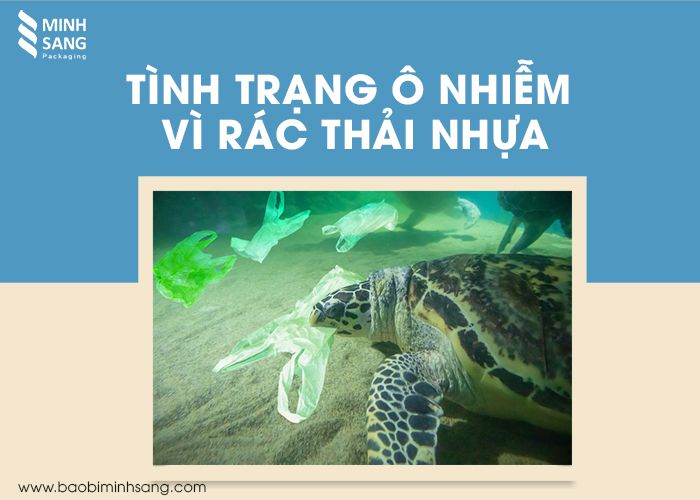 tinh-trang-o-nhiem-vi-rac-thai-nhua Rác thải nhựa không chỉ ảnh hưởng đời sống con người mà tác động đến đời sống động vật dưới biển.