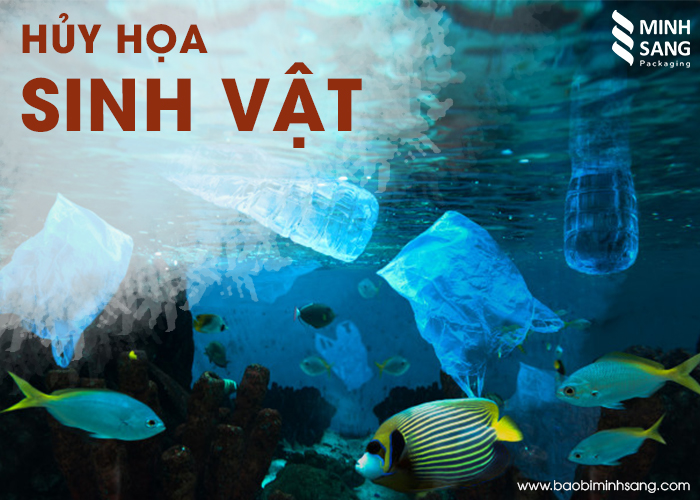 tui-ni-long-va-he-luy-khon-luong-khi-dung-do-an-thai-ra-moi-truong-2 túi nilong thải ra môi trường hủy hoại sinh vật