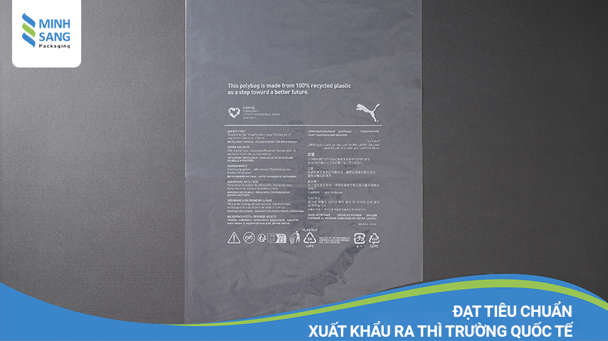 tui-tai-che-13 Đạt tiêu chuẩn xuất khẩu ra thị trường quốc tế