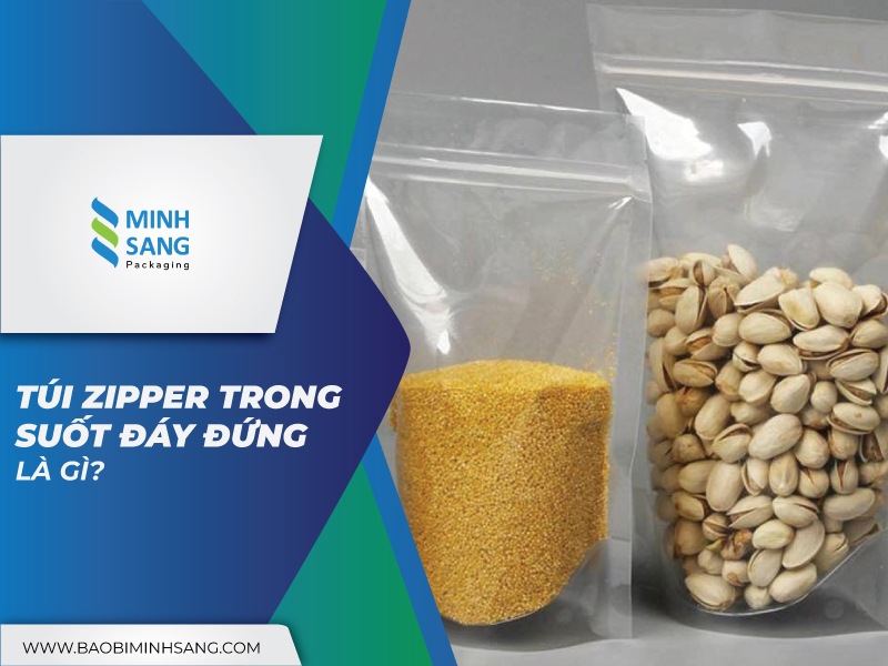 tui-zipper-trong-suot-day-dung-duoc-ua-chuonghang-dau-hien-nay-2 Túi zipper trong suốt đáy đứng là gì?