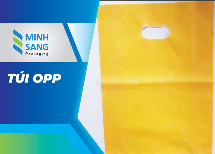 vi-sao-nen-su-dung-tui-xop-thoi-trang-8 Túi OPP