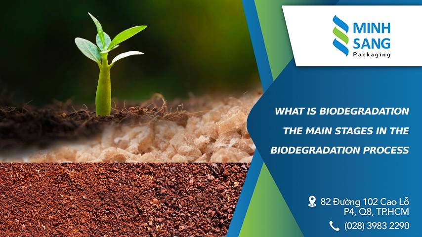 What Is Biodegradation The Main Stages In The Biodegradation Process