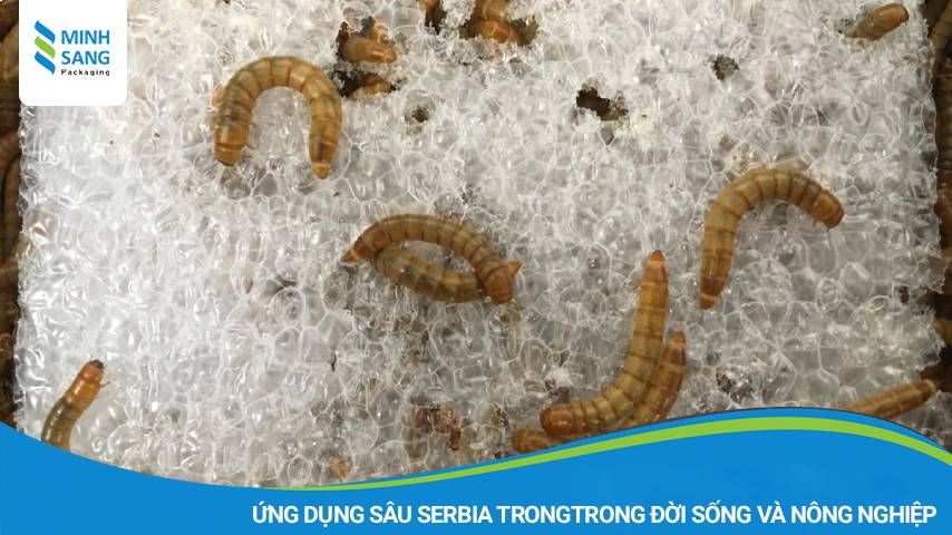 ứng dụng trong đời sống và nông nghiệp