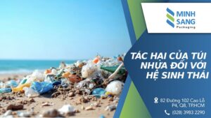 Tác hại của túi nhựa đối với hệ sinh thái