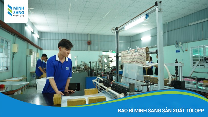 Khi nào doanh nghiệp nên đặt sản xuất túi OPP tại xưởng?