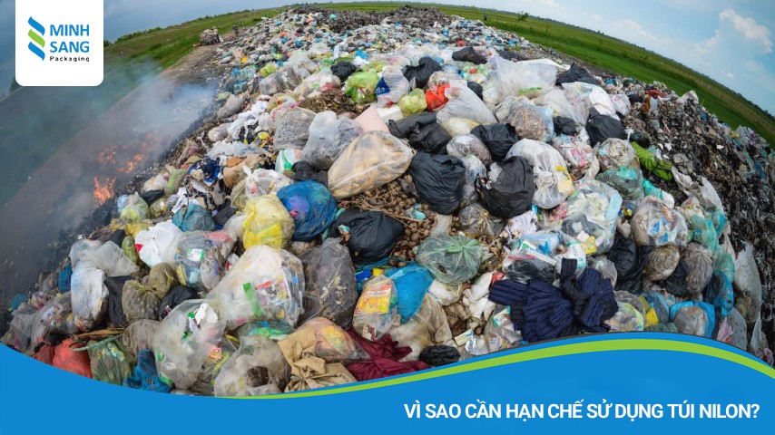 Vì sao cần hạn chế sử dụng túi nilon?