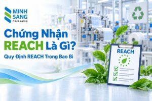 Chứng Nhận REACH Là Gì