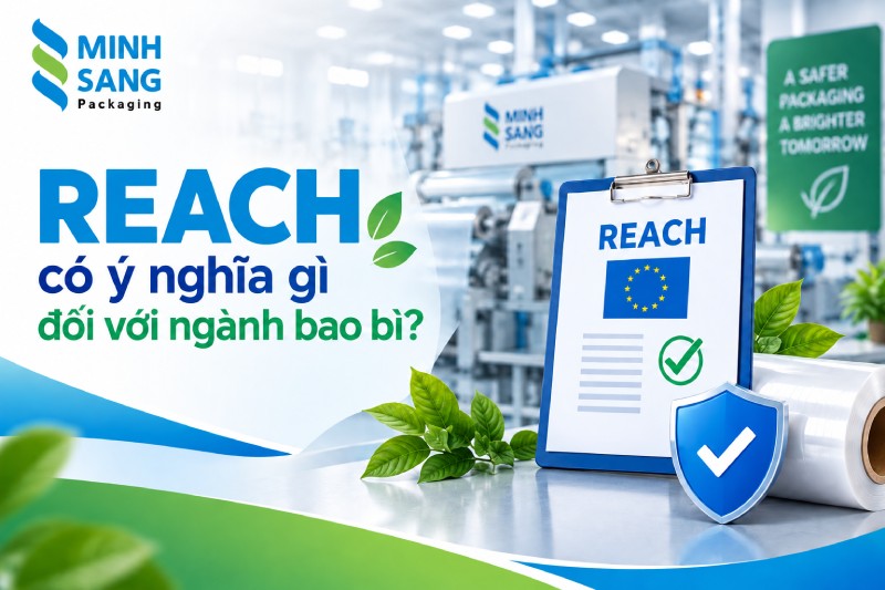 REACH có ý nghĩa gì đối với ngành bao bì?