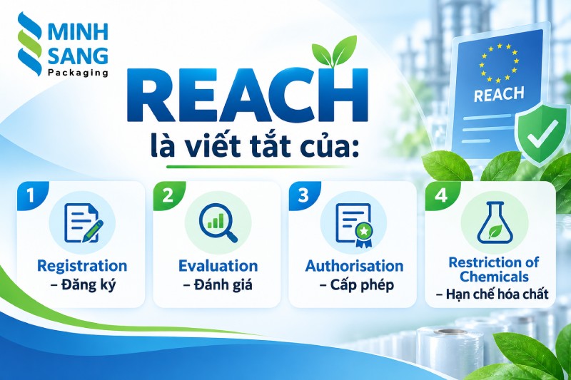 REACH là gì?