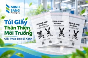 Túi Giấy Thân Thiện Môi Trường