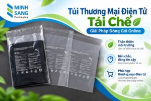 Túi Thương Mại Điện Tử Tái Chế